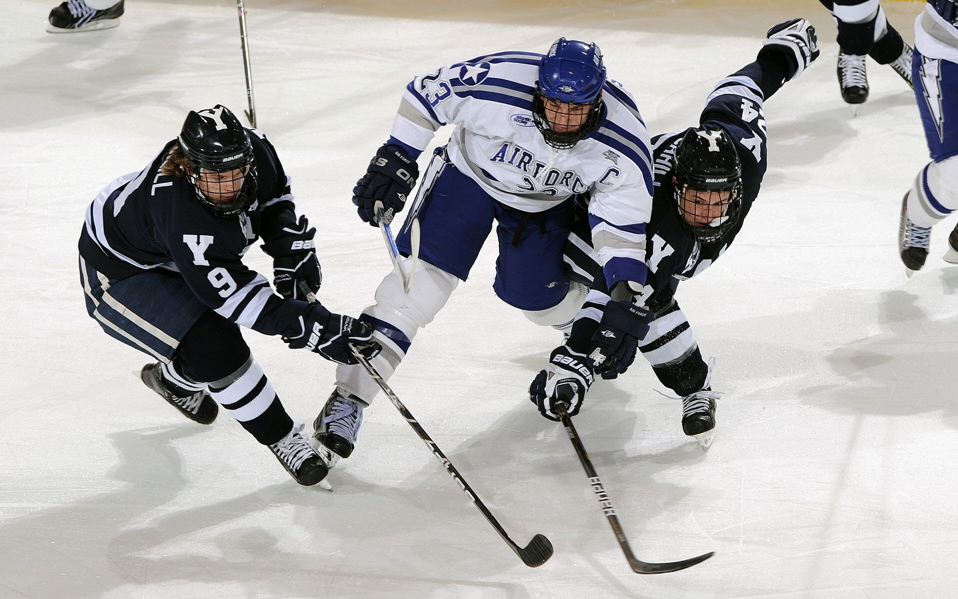 _跨界合作：体育品牌与时尚设计师联名系列_，著名体育品牌服装品牌